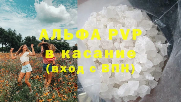 СК Медвежьегорск