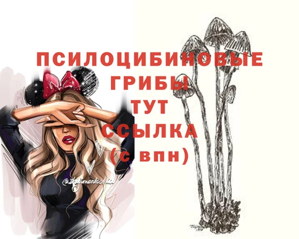 кокс Мегион