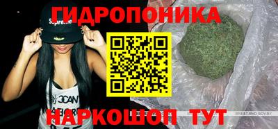 стафф Жуковский