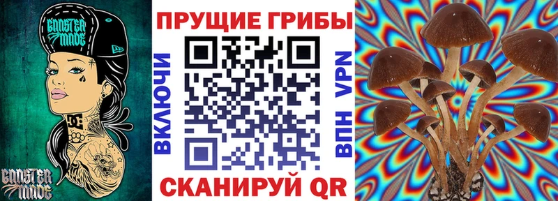 Галлюциногенные грибы ЛСД  Новороссийск 