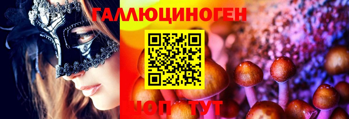 Новороссийск  Галлюциногенные грибы ЛСД  Псилоцибиновые грибы MAGIC MUSHROOMS  Вход с VPN 